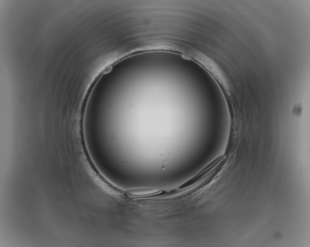 X0000097650805200802291449