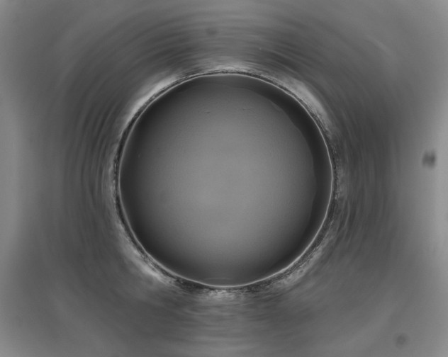 X0000097650806200802291449