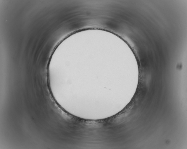 X0000097650807200802291449