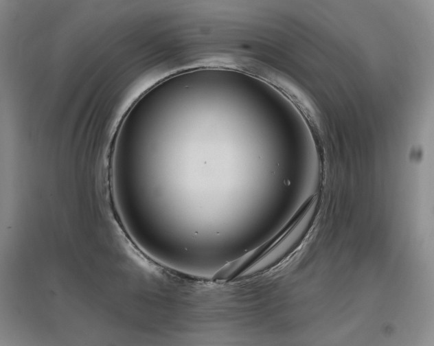 X0000097650808200802291449