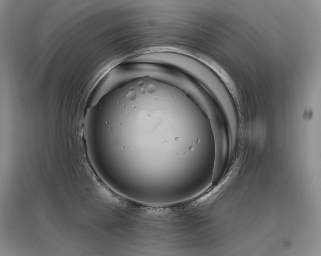 X0000097650809200802291449