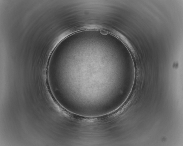 X0000097650810200802291448