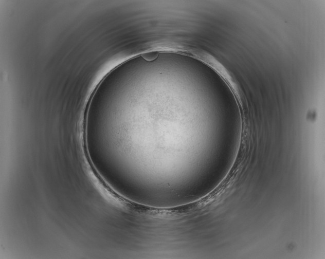 X0000097650811200802291448