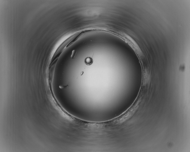 X0000097650812200802291448