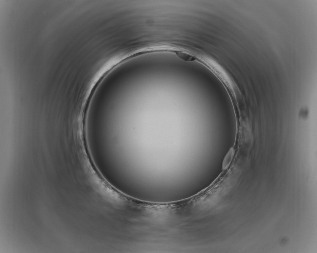 X0000097650813200802291448