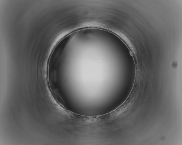 X0000097650815200802291448