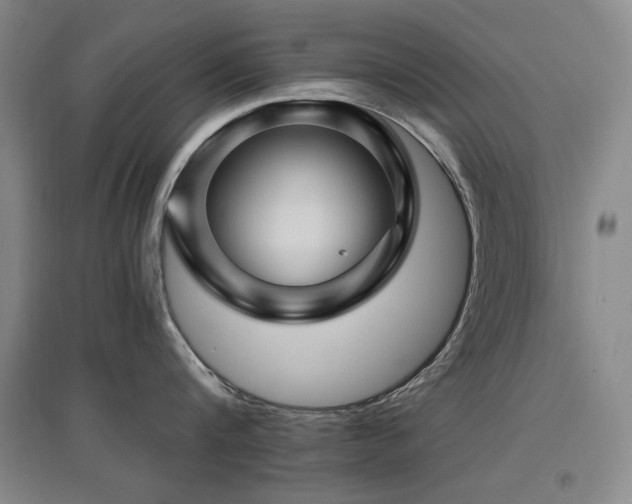 X0000097650816200802291448