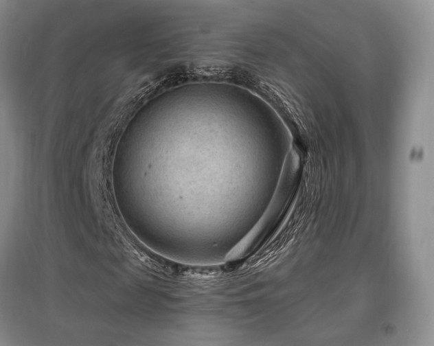 X0000097650817200802291448