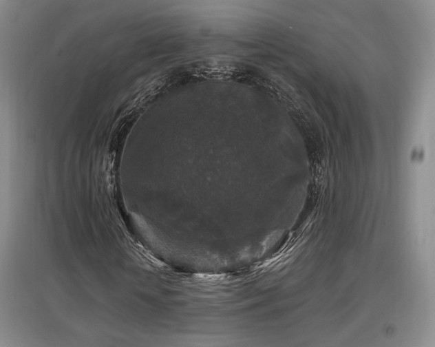 X0000097650818200802291448