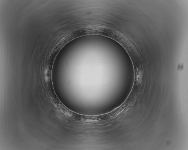 X0000097650819200802291448