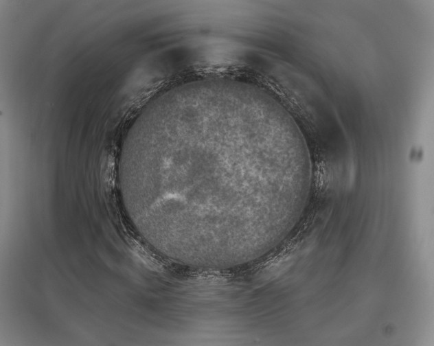 X0000097650820200802291448