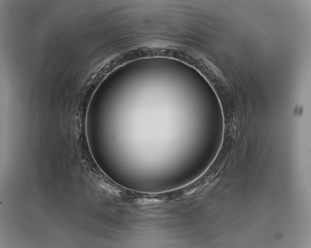 X0000097650821200802291448