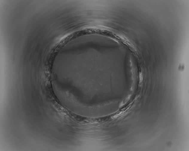 X0000097650822200802291448