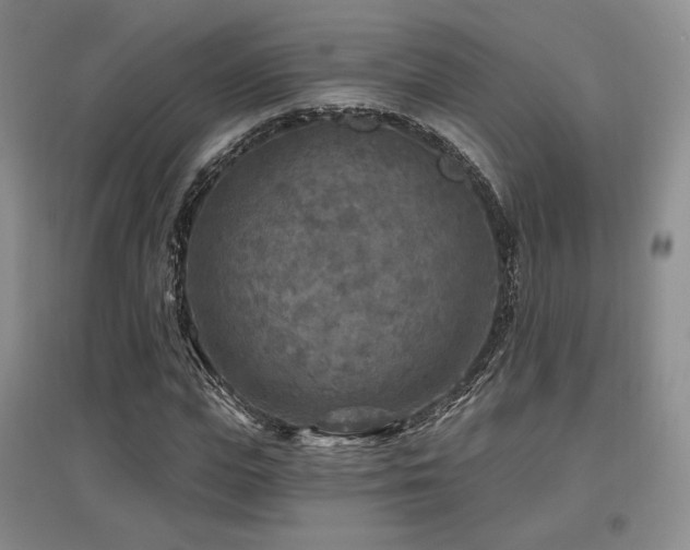 X0000097650823200802291448