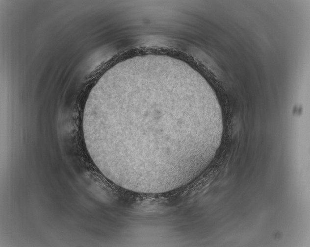 X0000097650824200802291448