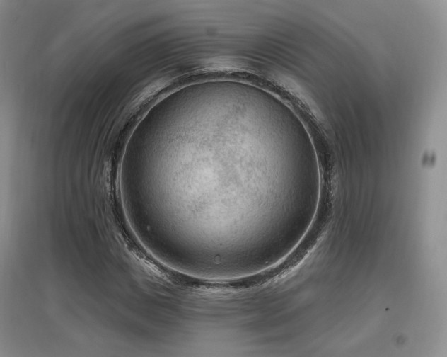 X0000097650825200802291448