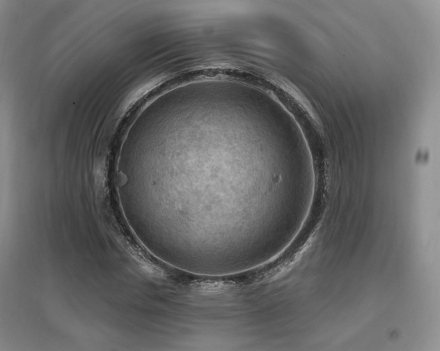 X0000097650826200802291448