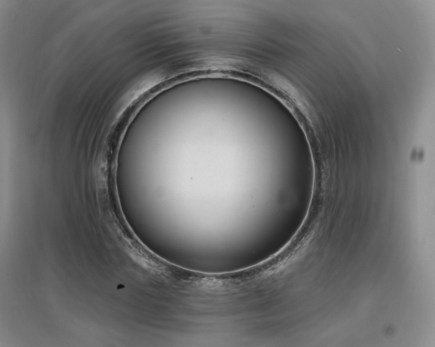 X0000097650827200802291448