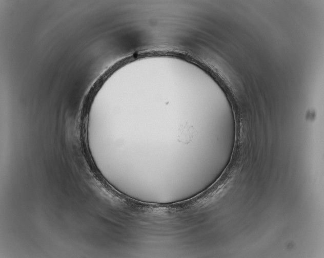 X0000097650828200802291448