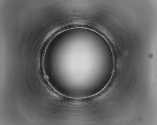 X0000097650829200802291448