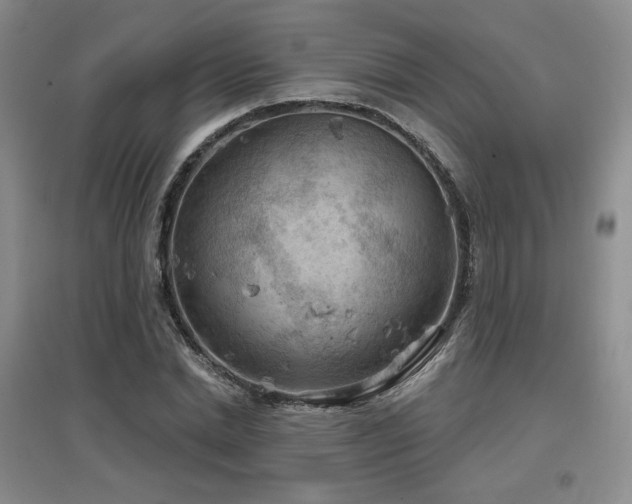 X0000097650830200802291448