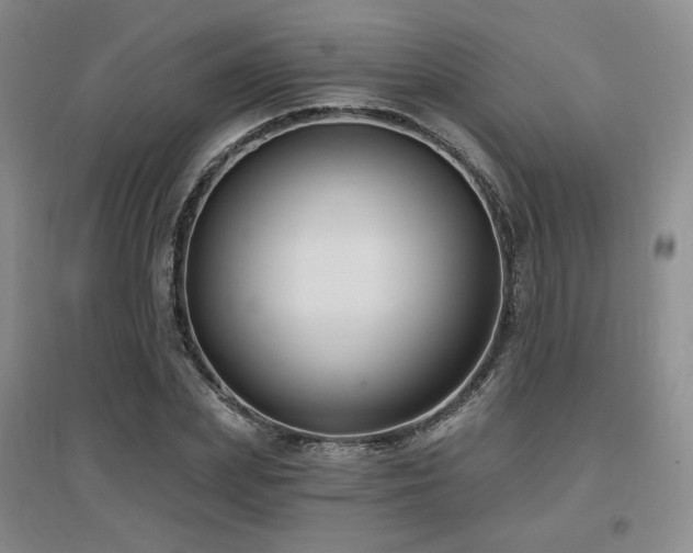 X0000097650831200802291448