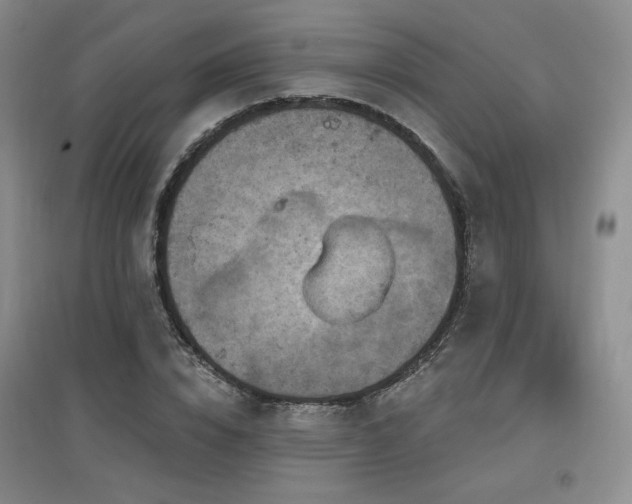 X0000097650832200802291448