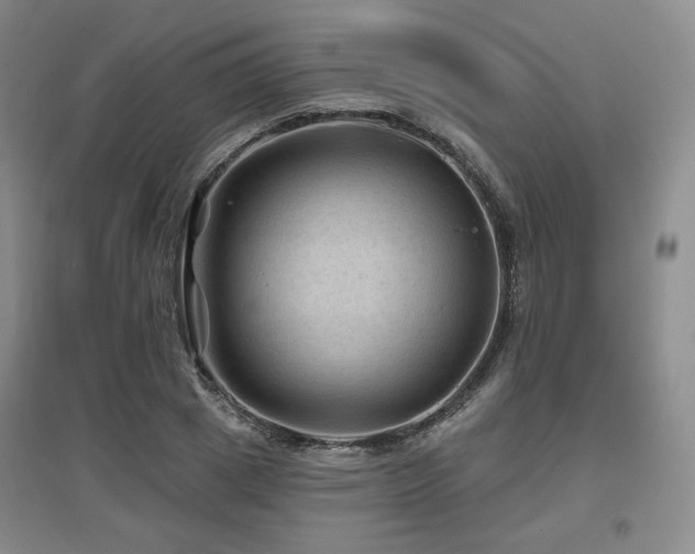 X0000097650833200802291448