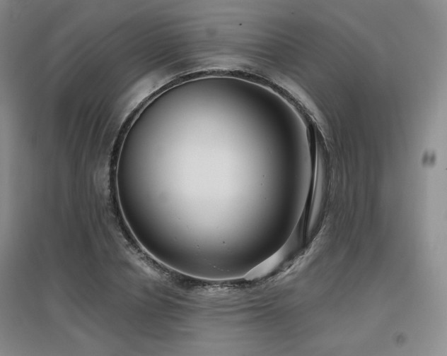 X0000097650834200802291448