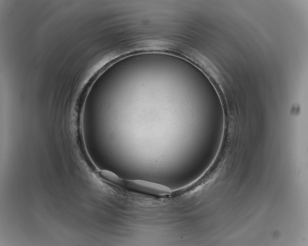 X0000097650835200802291448