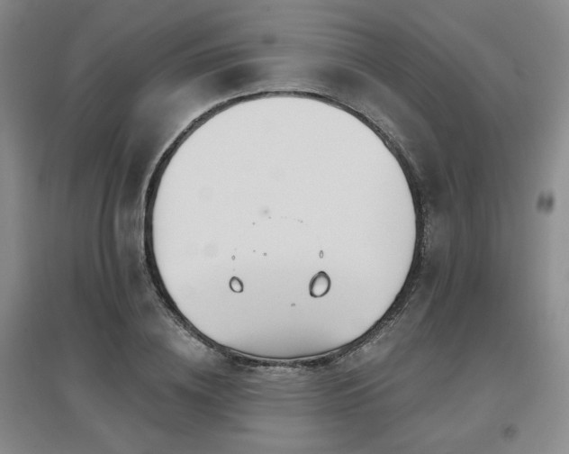 X0000097650836200802291448