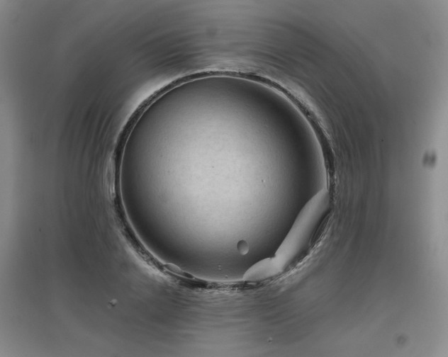 X0000097650838200802291448