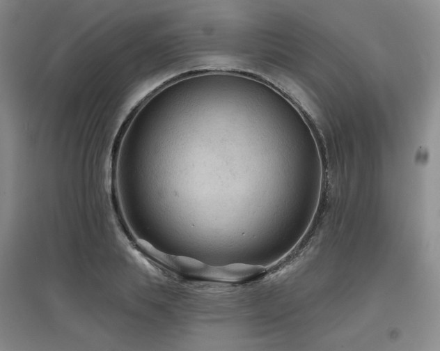 X0000097650839200802291448