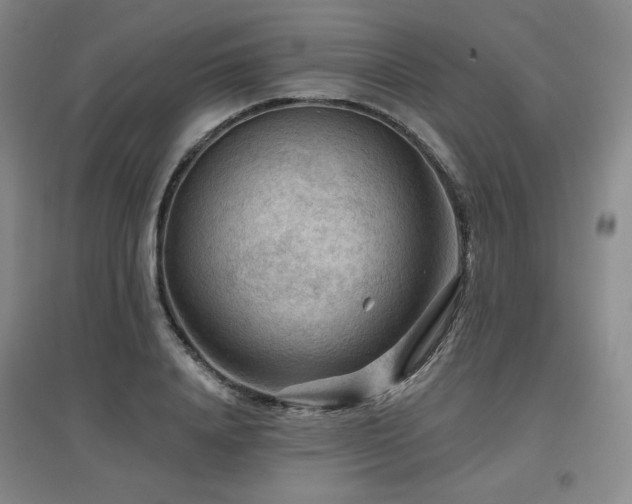 X0000097650840200802291448