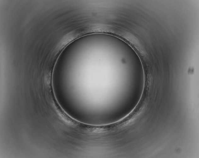 X0000097650841200802291448