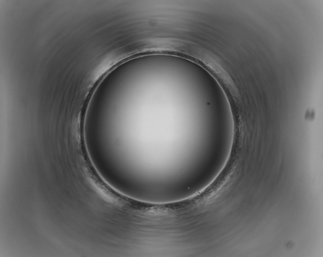 X0000097650842200802291448