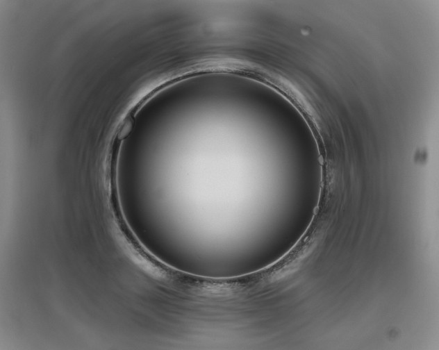 X0000097650843200802291448