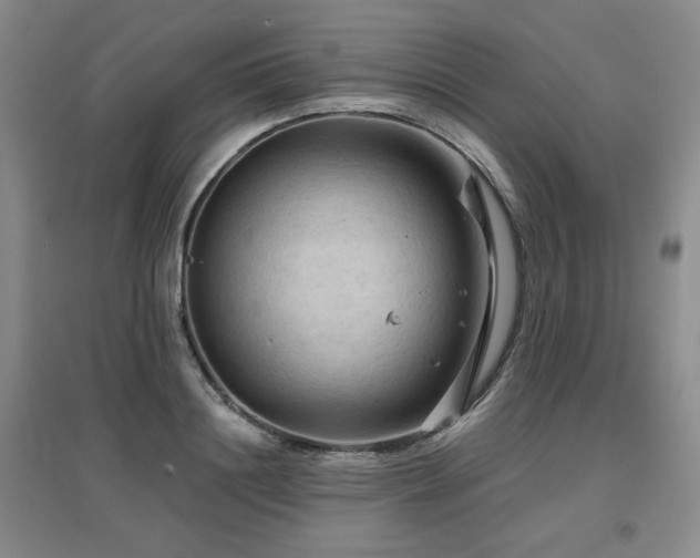 X0000097650844200802291448