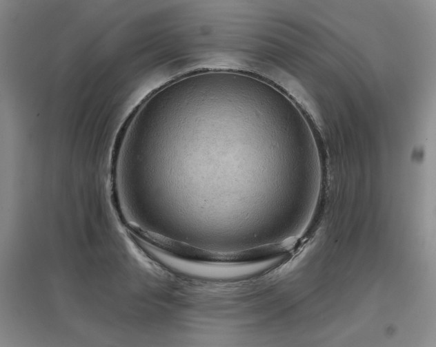 X0000097650845200802291448