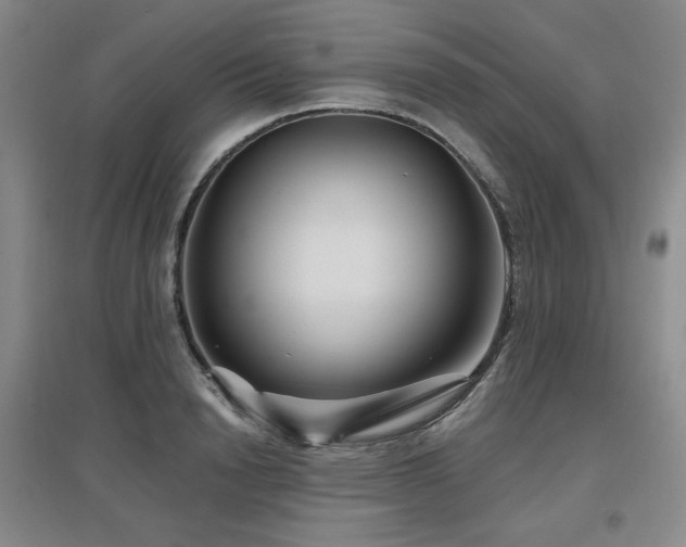 X0000097650846200802291448