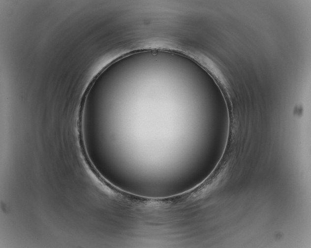 X0000097650847200802291448