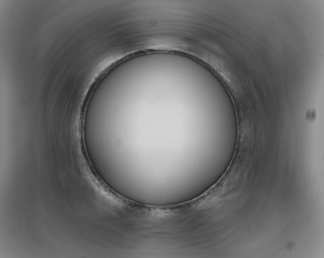 X0000097650848200802291448