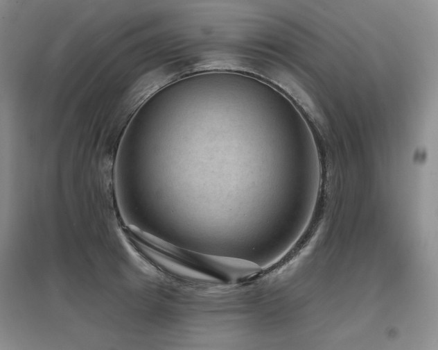 X0000097650849200802291448