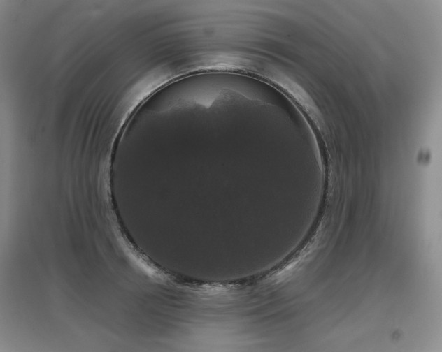 X0000097650850200802291448