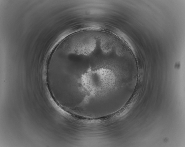 X0000097650851200802291448