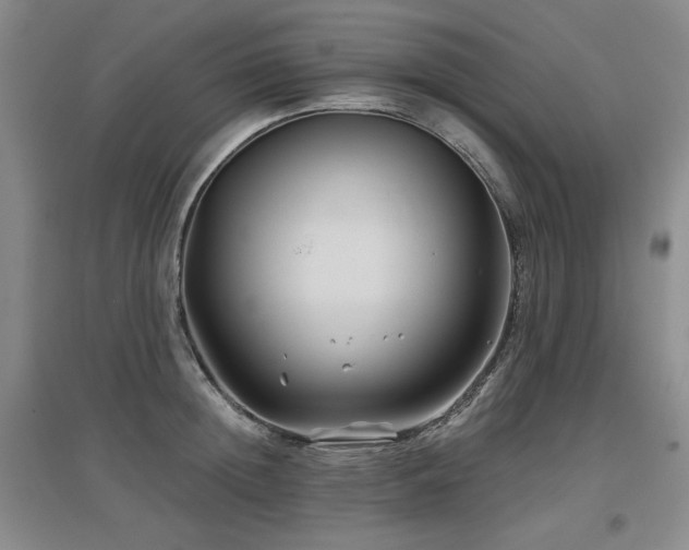 X0000097650852200802291448