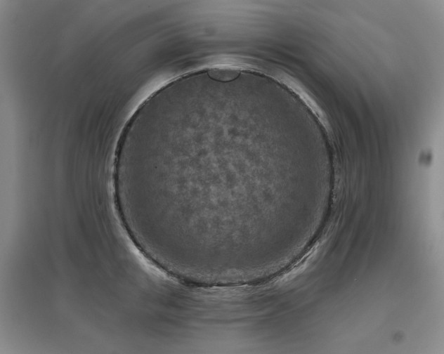 X0000097650853200802291448