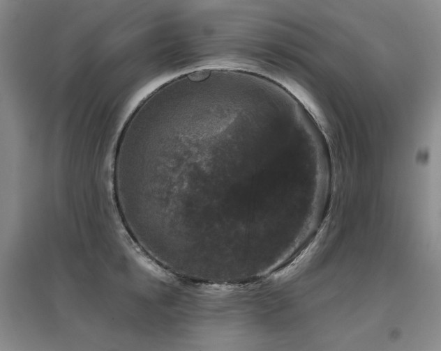 X0000097650854200802291448