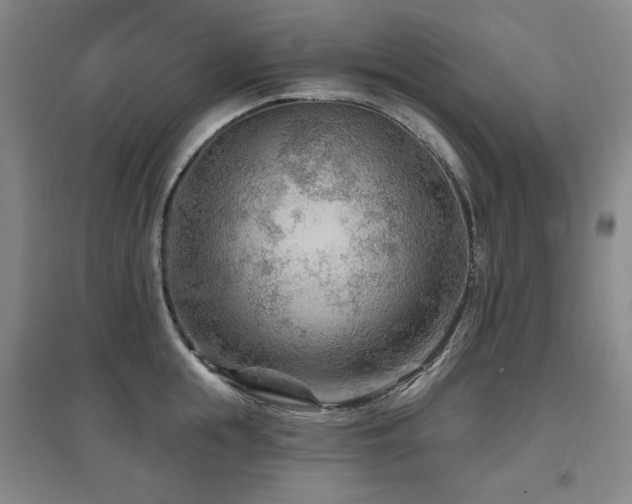 X0000097650855200802291448