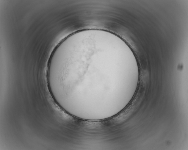 X0000097650856200802291448